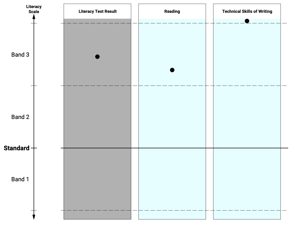 Literacy LANTITE results: Band 3 Reading, above Band 3 Technical writing skills